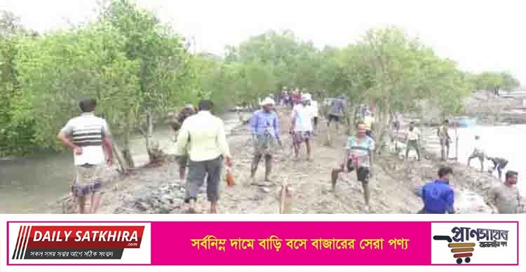 বৃষ্টির মধ্যেই স্থানীয়রা সাতক্ষীরায় বাঁধ সংস্কারের কাজ চালিয়ে যাচ্ছেন