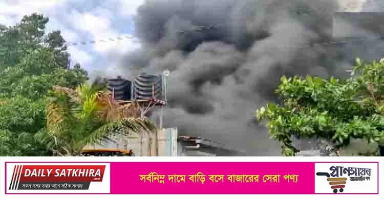 ভারতের স্যানিটাইজার কারখানায় অগ্নিকাণ্ডে নিহত ১৮