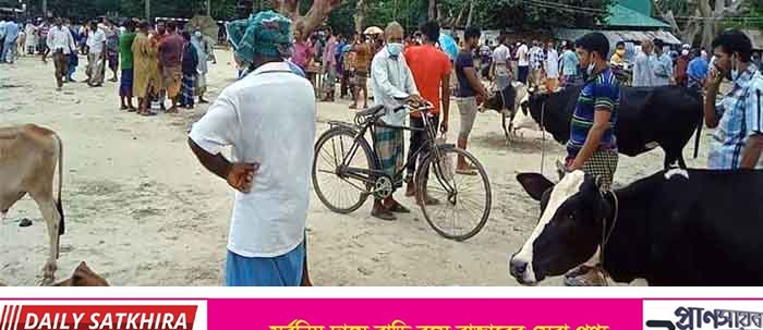 দেবহাটার পারুলিয়ায় কঠোর লকডাউন ভেঙ্গে জমজমাট গরু হাট