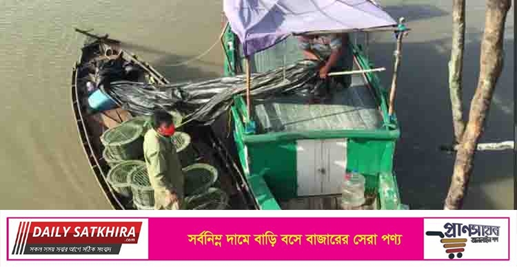 সুন্দরবন সাতক্ষীরা রেঞ্জে নৌকাসহ ২৫০ কেজি কাঁকড়া জব্দ