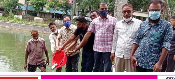জাতীয় মৎস্য সপ্তাহে সাতক্ষীরা জেলা পরিষদের পুকুরে মৎস্যপোনা অবমুক্তকরণ