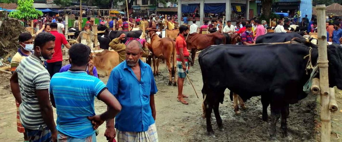 কঠোর বিধিনিষেধ উপেক্ষা করে চলছে সাতক্ষীরা আবাদের হাট : সংক্রমণ আতংকে স্থানীয়রা
