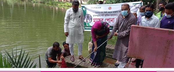 সাতক্ষীরা সদর উপজেলার পুকুরে মাছের পোনা অবমুক্ত