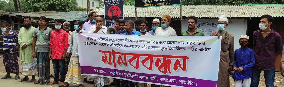 কলারোয়ায় কালভার্ট বন্ধ করে ধান- ঘরবাড়ি ও মাছ বিনষ্টের অভিযোগে মানববন্ধন