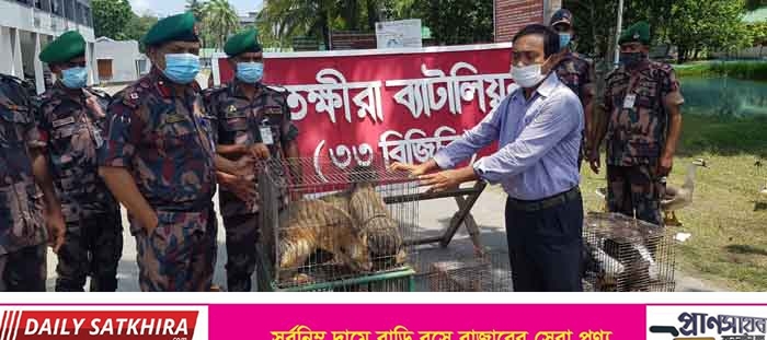 সাতক্ষীরা সীমান্ত থেকে ৯টি বন্যপ্রাণি উদ্ধার: বনবিভাগের কাছে হস্তান্তর