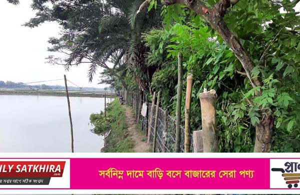 কালীগঞ্জে ভূমিহীনদের সম্মিলিত মাছের ঘের দখল !