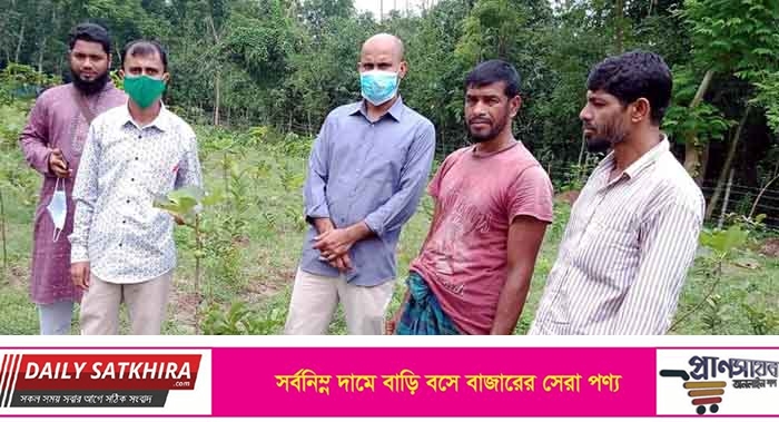 কোরআনে বর্ণিত সেই তীন গাছ প্রথম চাষ হচ্ছে সাতক্ষীরার দেবহাটায়