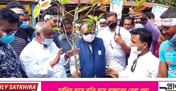 দেবহাটায় বৃক্ষরোপণ কর্মসূচি উদ্বোধন করলেন এমপি রুহুল হক