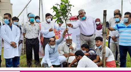 শেখ হাসিনার জন্মদিন উপলক্ষে সামেক চত্বরে বৃক্ষ রোপন