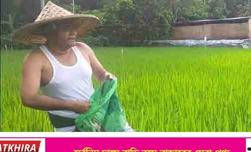 কৃষকদের উৎসাহিত করতে জমিতে সার ছড়ালেন শ্যামনগরের এমপি জগলুল 