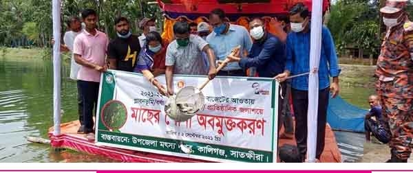 কালিগঞ্জ উপজেলা পরিষদের পুকুরসহ ১৮ পুকুরে মাছের পোনা অবমুক্ত