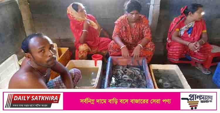 কালিগঞ্জে পুশকৃত বাগদা জব্দ, ২০ হাজার টাকা জরিমানা