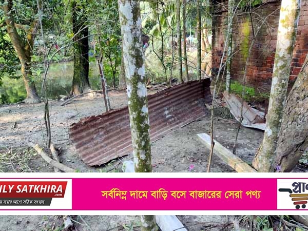 কালিগঞ্জে পৈত্রিক সম্পত্তি দখল চেষ্টায় মামলা করে বিপাকে সরকারি কর্মকর্তা !