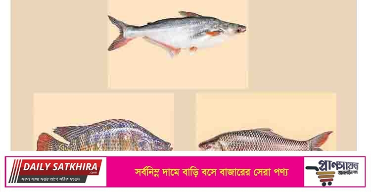 বিশ্বব্যাপী গড়ের চেয়ে বাংলাদেশের মানুষ ৪ গুণ মাছ খায়