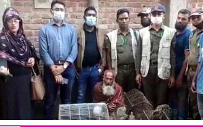 সাতক্ষীরায় পাখি ও শিকারের সরঞ্জাম উদ্ধার