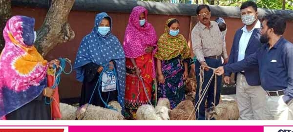 দেবহাটায় হতদরিদ্র ও প্রতিবন্ধী পরিবারের মাঝে ভেড়া বিতরণ 