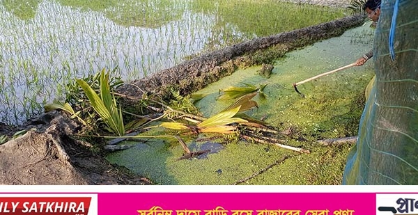 শ্যামনগরে আদালতে বিচারাধীন সম্পত্তিতে রাতের আঁধারে দখলের পাঁয়তারা !
