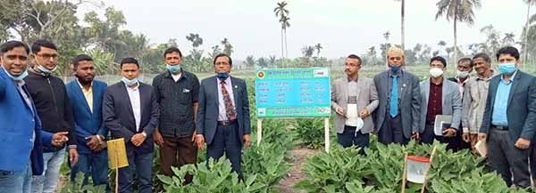 শ্যামনগরে উচ্চমুল্য ফসল উৎপাদন কারী সদস্যদের সাথে মতবিনিময়