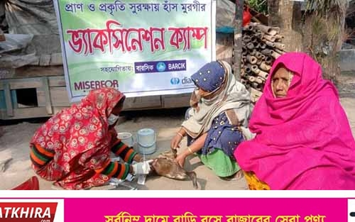 সাতক্ষীরায় প্রাণবৈচিত্র্য সুরক্ষায় হাঁস ও মুরগীর ভ্যাকসিনেশন ক্যাম্প