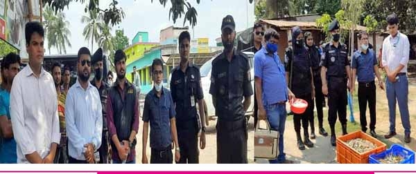 দেবহাটায় চিংড়ীতে অপদ্রব্য পুশ বিরোধী অভিযান