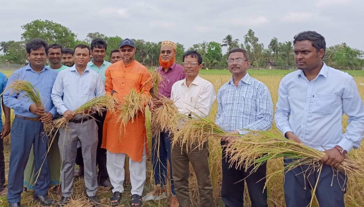 শ্যামনগরে লবণ সহিষ্ণু বিনাধান -১০ এর সম্প্রসারণের লক্ষ্যে মাঠ দিবস