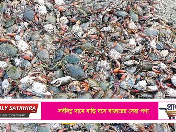 শ্যামনগরে বিষ প্রয়োগে আট লক্ষ টাকার কাঁকড়া মৃত্যু
