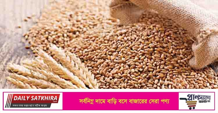 বিভিন্ন দেশে রপ্তানি নিষেধাজ্ঞার কারণে বিশ্বজুড়ে বাড়ছে খাদ্য সংকট