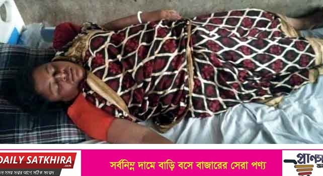 দেবহাটায় প্রতিপক্ষের হামলায় এক গৃহবধু আহত