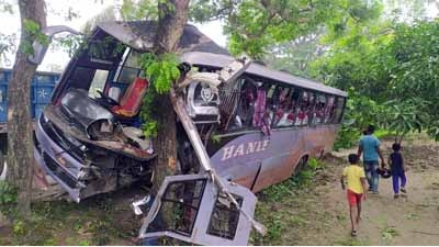 সাতক্ষীরায় নিয়ন্ত্রণ হারিয়ে গাছের সঙ্গে পরিবহনের ধাক্কা: হেলপারসহ ১০জন আহত