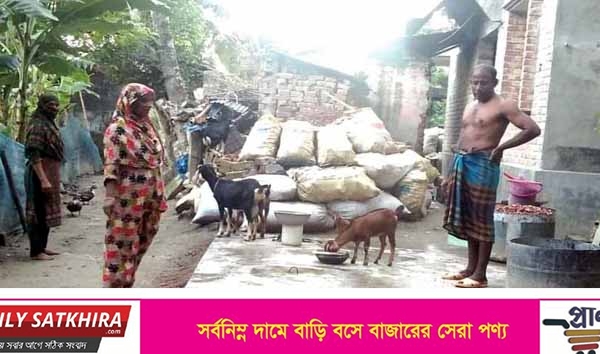 দেবহাটার পল্লীতে চলাচলের রাস্তায় সরকারি গাছ কেটে হাউজ নির্মানের অভিযোগ