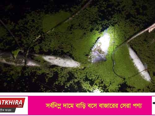 ধুলিহরে বিষ প্রয়োগ করে লক্ষাধিক টাকার মাছ হত্যার অভিযোগ