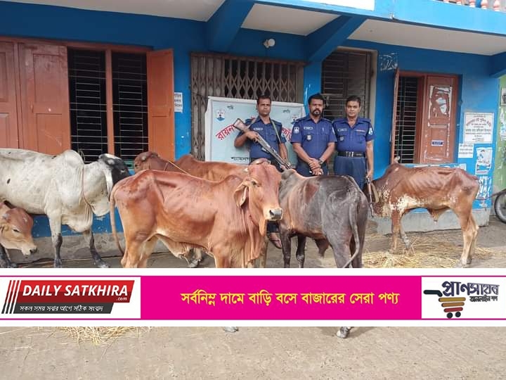 শ্যামনগরের রায়-নগর নৌ-পুলিশের অভিযানে ৬টি গরু সহ ১টি নৌকা জব্দ