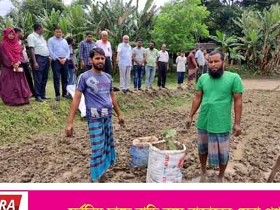 শ্যামনগরে বস্তায় শীতকালীন সবজি চাষের সম্ভাব্যতা এবং লাভজনকতা যাচাই শীর্ষক কর্মশালা