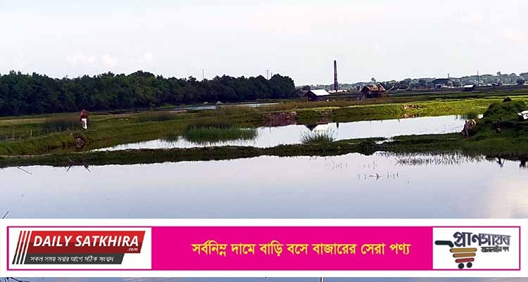 আশাশুনি জলমহলের অবৈধ বাঁধ ও নেট-পাটা অপসারণের সিদ্ধান্ত ৬ মাসেও বাস্তবায়ন হয়নি!