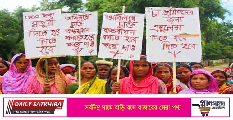 চা শ্রমিকরা দিনপ্রতি ৩০০ চাইলেও মালিকপক্ষের প্রস্তাব ১৩৪ টাকা