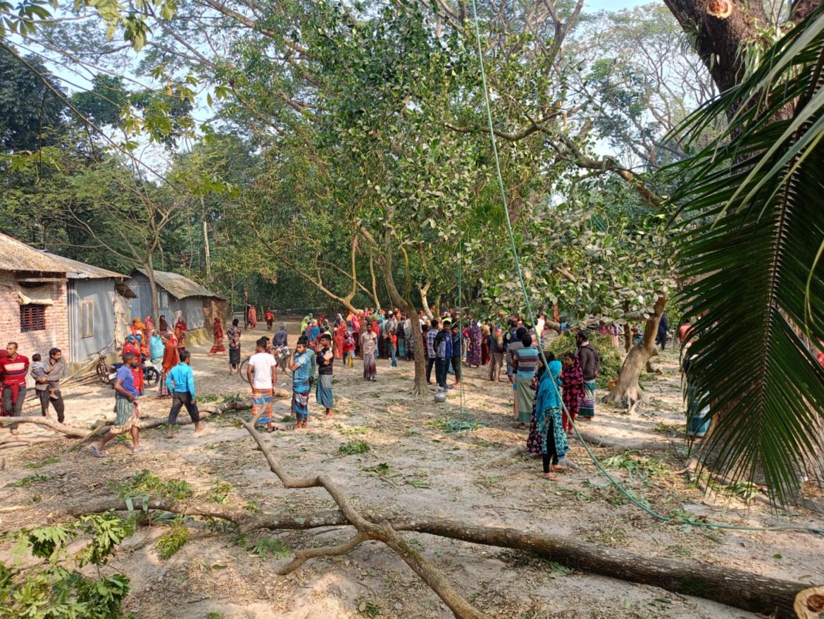 কালিগঞ্জে গাছ কাটতে গিয়ে এক শ্রমিকের মর্মান্তিক মৃত্যু