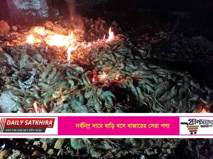সাতক্ষীরায় ৩৯০ কেজি চিংড়ী আগুনে পুড়িয়ে বিনষ্ট: ৮০ হাজার টাকা জরিমানা