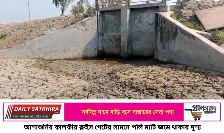 আশাশুনির কালকীর স্লুইস গেটে পলি মাটি জমে থাকায় ১০ হাজার বিঘা জমিতে ফসল হচ্ছে না