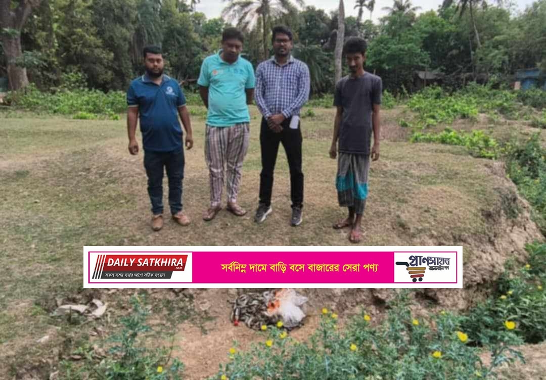 দেবহাটায় মৎস্য কর্মকর্তাদের অভিযানে পুশকৃত বাগদা জব্দ