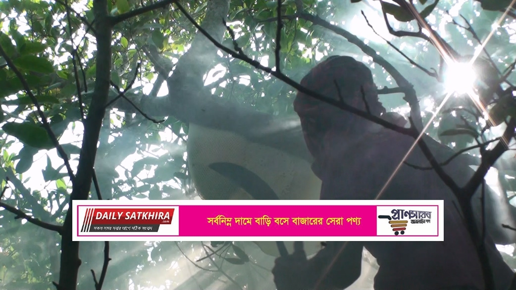 সাতক্ষীরায় মধু আহরনের আনুষ্ঠানিক উদ্বোধন