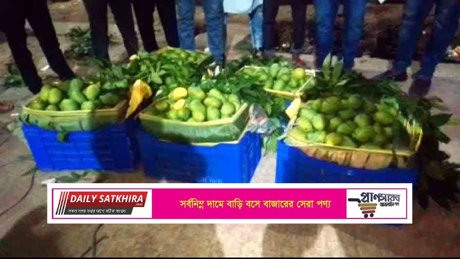 সাতক্ষীরায় কেমিক্যাল মিশ্রিত অপরিপক্ষ আম জব্দ