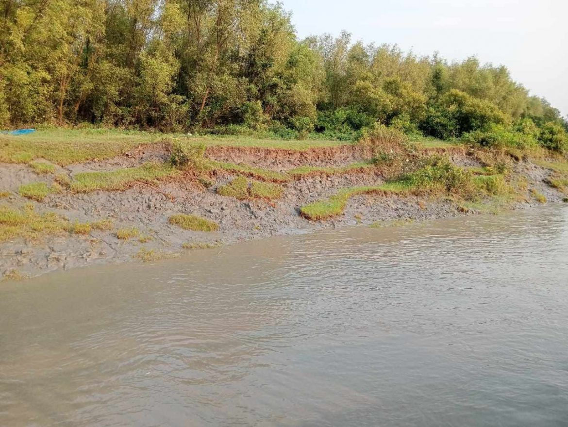 দেবহাটার ইছামতি নদীর ভাঙ্গনে বদলে যাচ্ছে মানচিত্র- হুমকির মুখে রুপসী ম্যানগ্রোভ