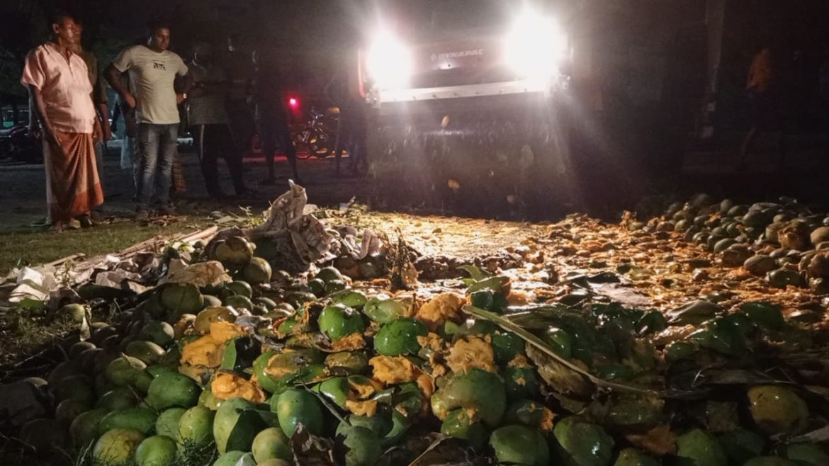 সাতক্ষীরায় ৯শ কেজি অপরিপক্ক ক্যামিক্যাল মিশ্রিত আম জব্দ