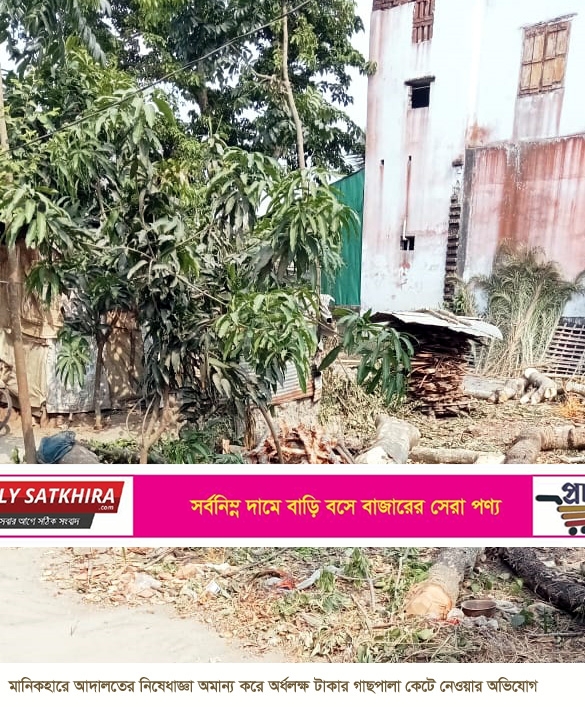 মানিকহারে আদালতের নিষেধাজ্ঞা অমান্য করে অর্ধলক্ষ টাকার গাছপালা কেটে নেওয়ার অভিযোগ