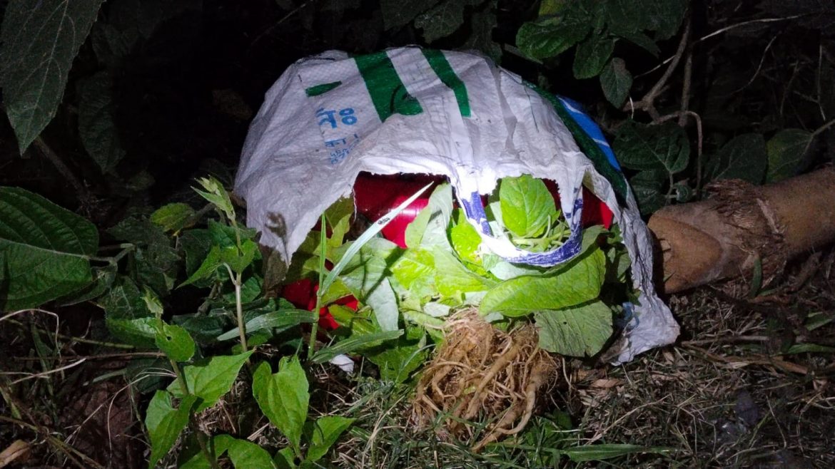 সাতক্ষীরায় বাইপাস সড়কে ৩০টি ককটেল সাদৃশ্য বস্তু উদ্ধার