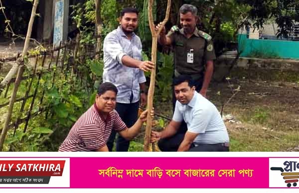 তালায় আনসার-ভিডিপি উন্নয়ন ব্যাংকের বৃক্ষরোপন