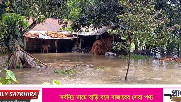 উজান পানিতে তালায় ৫ হাজার মানুষ পানিবন্দি: বিশুদ্ধ পানির সংকট চরমে
