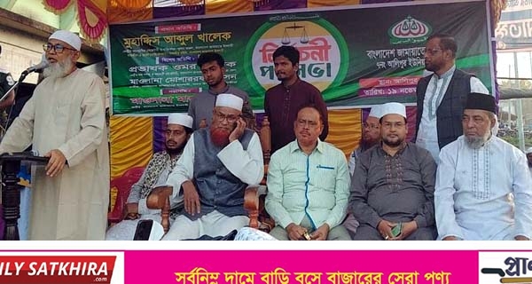 আলিপুরে জামায়াতের নির্বাচনী পথ সভা