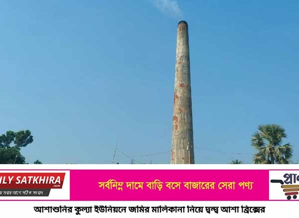 আশাশুনিতে আশা ব্রিক্সের লেলিহান শিখায় জনজীবন বিপর্যস্ত