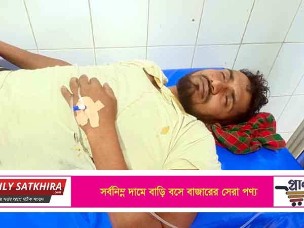 দেবহাটার পল্লীতে সন্ত্রাসী হামলায় বিএনপি নেতা আহত